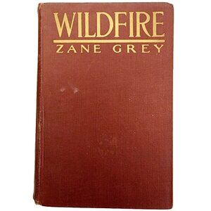 1917 Wildfire Zane Grey First Edition Western Illustrated Vintage HC WHBS